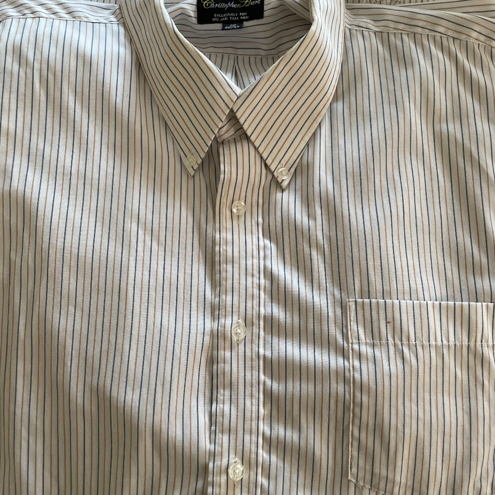 Christopher Hart Striped Button Down - Big and Tall